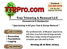 Tree Trimming & Removal LLC Web Site